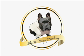 Agent Bugsy Academy